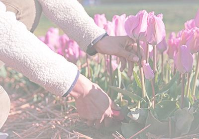Frühlingserwachen in Kooperation mit Johanna Wenger
